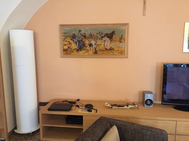 Vitaltherm Infrarotheizung